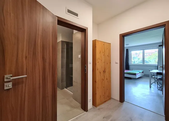 Cozy And Modern Near Center Brno